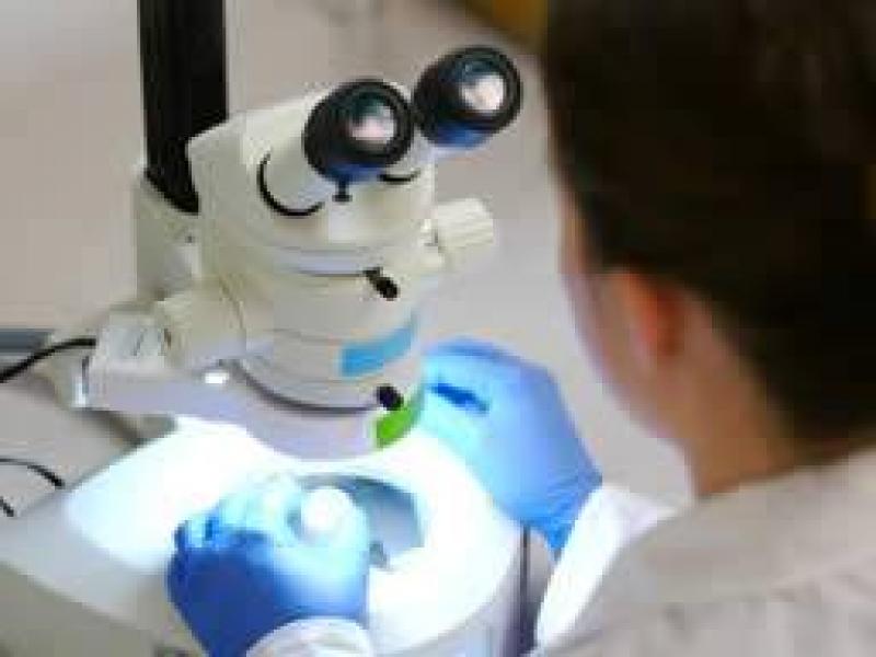Kabızlık: Nedenleri, belirtileri, tedavileri ve daha fazlası