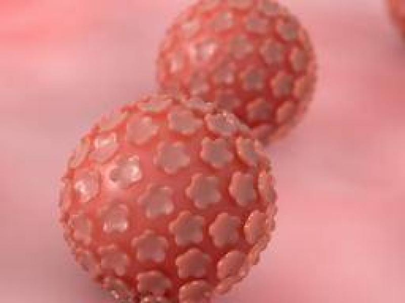İnsan papilloma virüsü (HPV) nedir? belirtileri ve tedavisi
