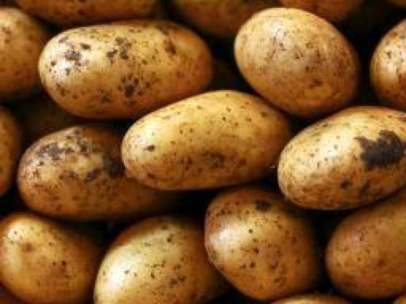 Patatesin sağlığa yararları, besin maddeleri, tarif ipuçları ve riskler