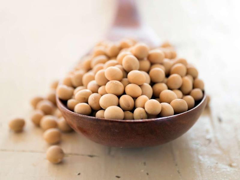 Soya çeşitleri, yararları ve beslenme