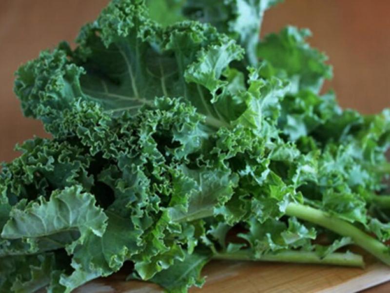 Kale bitkisi ve sağlığa faydaları
