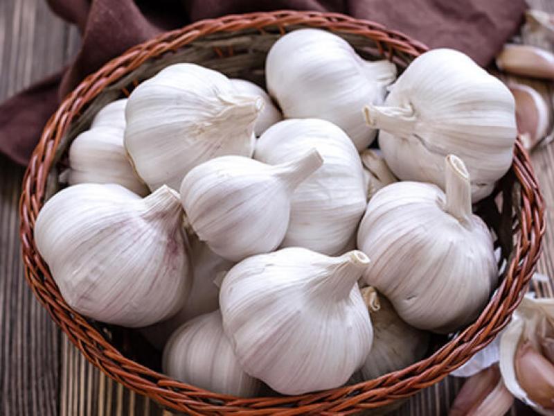 Sarımsağın faydaları nelerdir?